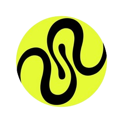 Logo Squid